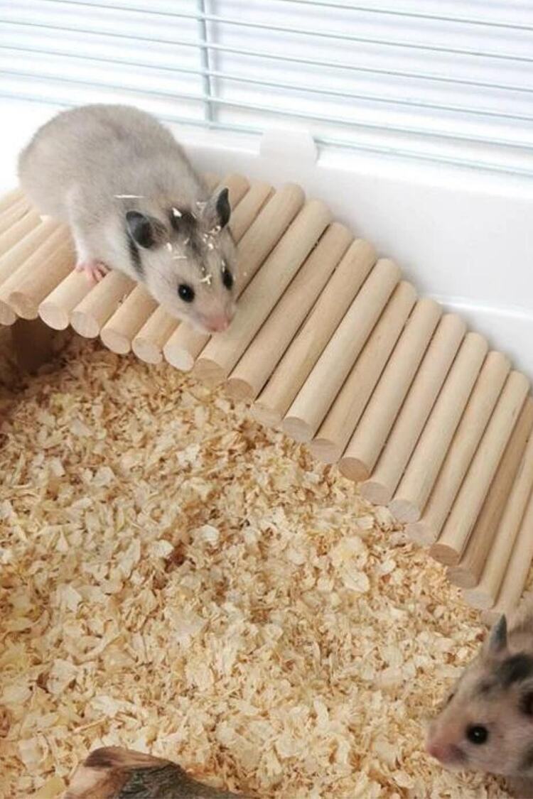 Hamster Uzun Ahşap Köprü, Cüce Hamster Bükülebilir Merdiven,
