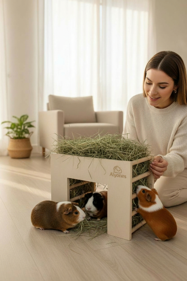 Tünel Formlu Ahşap Kuru Ot Besleyici – Gine Domuzu ve Chinchilla için