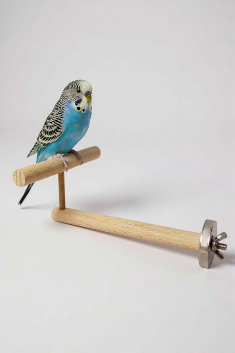 Ahşap Kuş Tüneği Kuş Perch Dinlenme ve Egzersiz Alanı