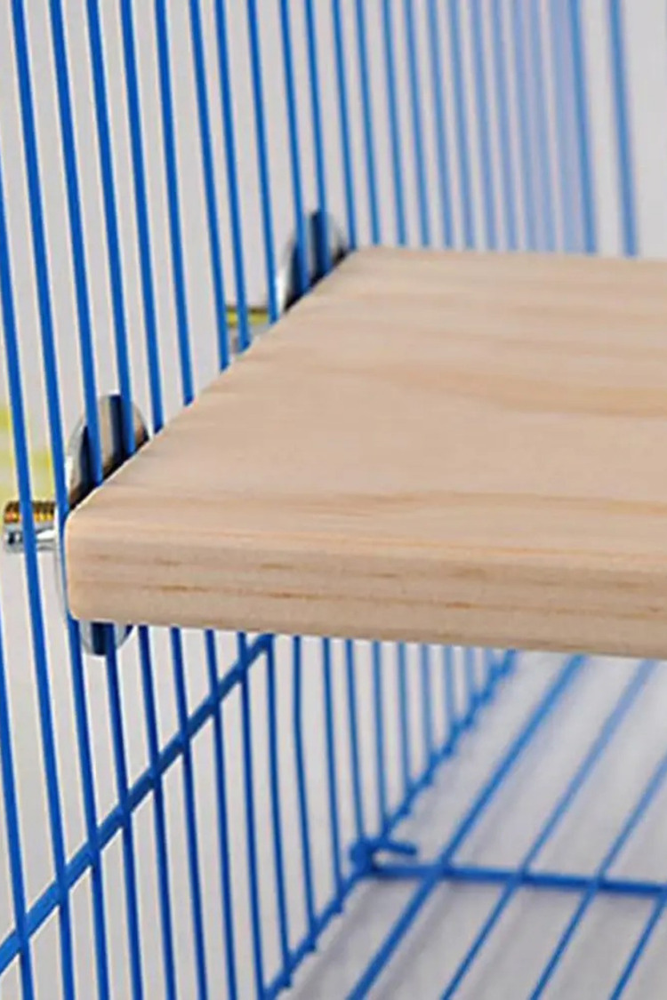 Chinchilla Hamster Sıçrama Tahtası - Kuş ve Papağan Aktivite Platformu