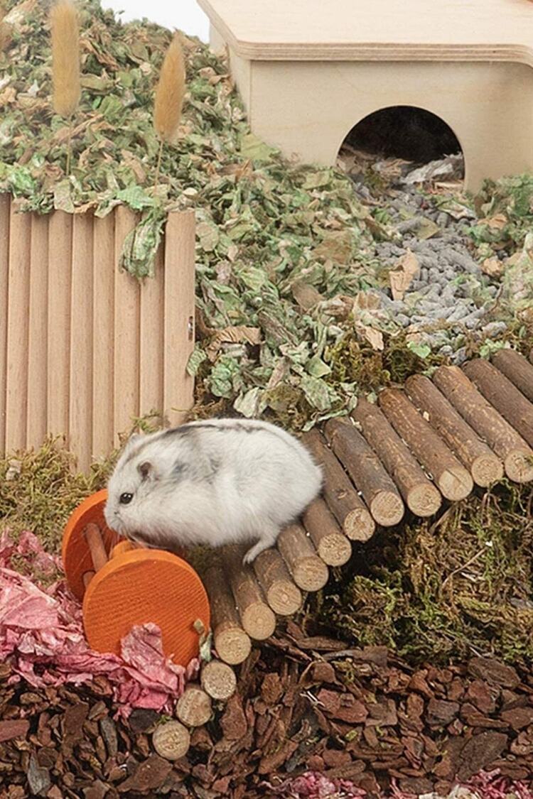 Hamster Fare Sıçan Kuşlar Için Eğlenceli Ahşap Merdiven Köprü