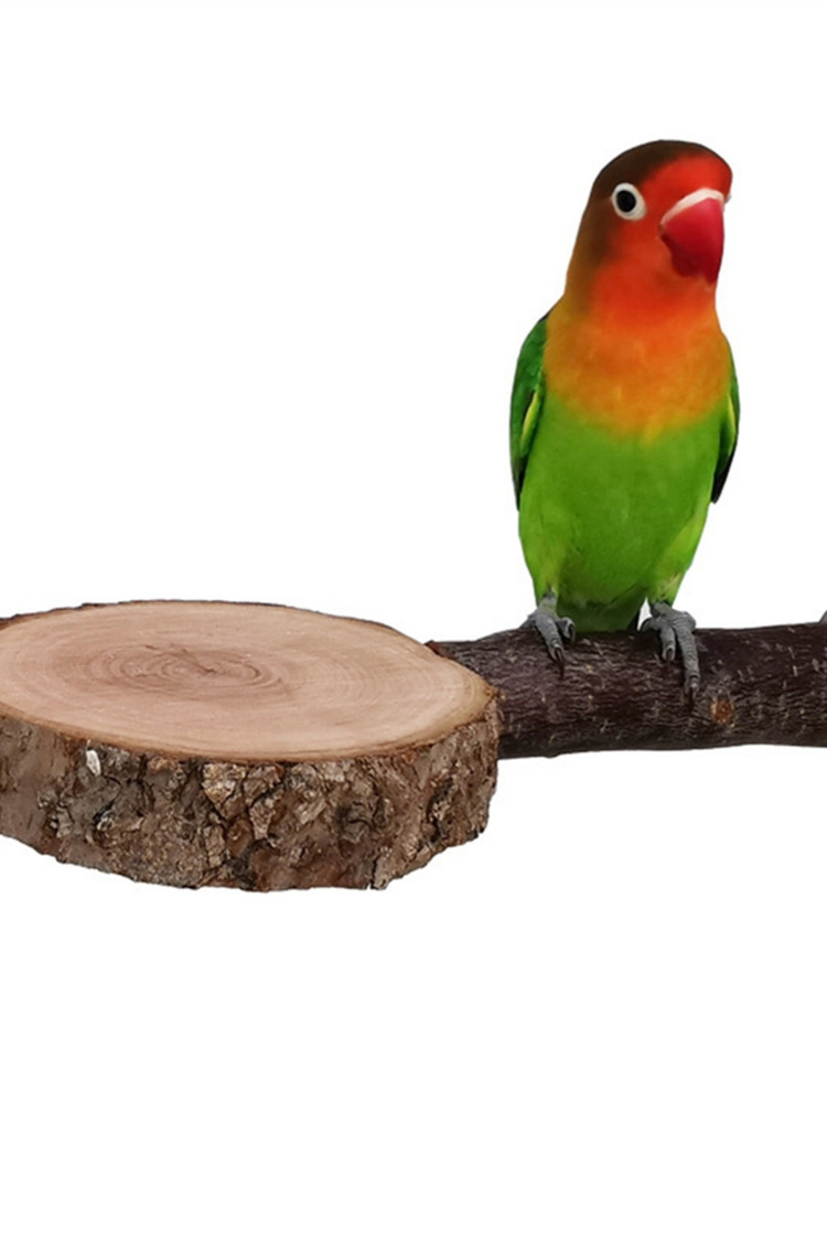 2x Doğal Ağaç Dalı Kuş Tüneği - Papağan, Sincap, Hamster İçin Çiğneme Oyuncağı