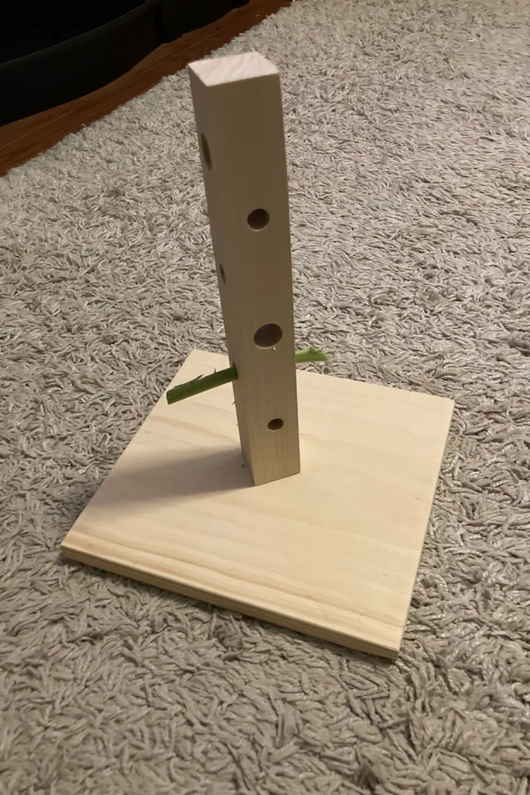 Bunny Tree – Ahşap Tavşan Foraging Oyuncağı, Doğal Çam, Zihinsel Uyarım