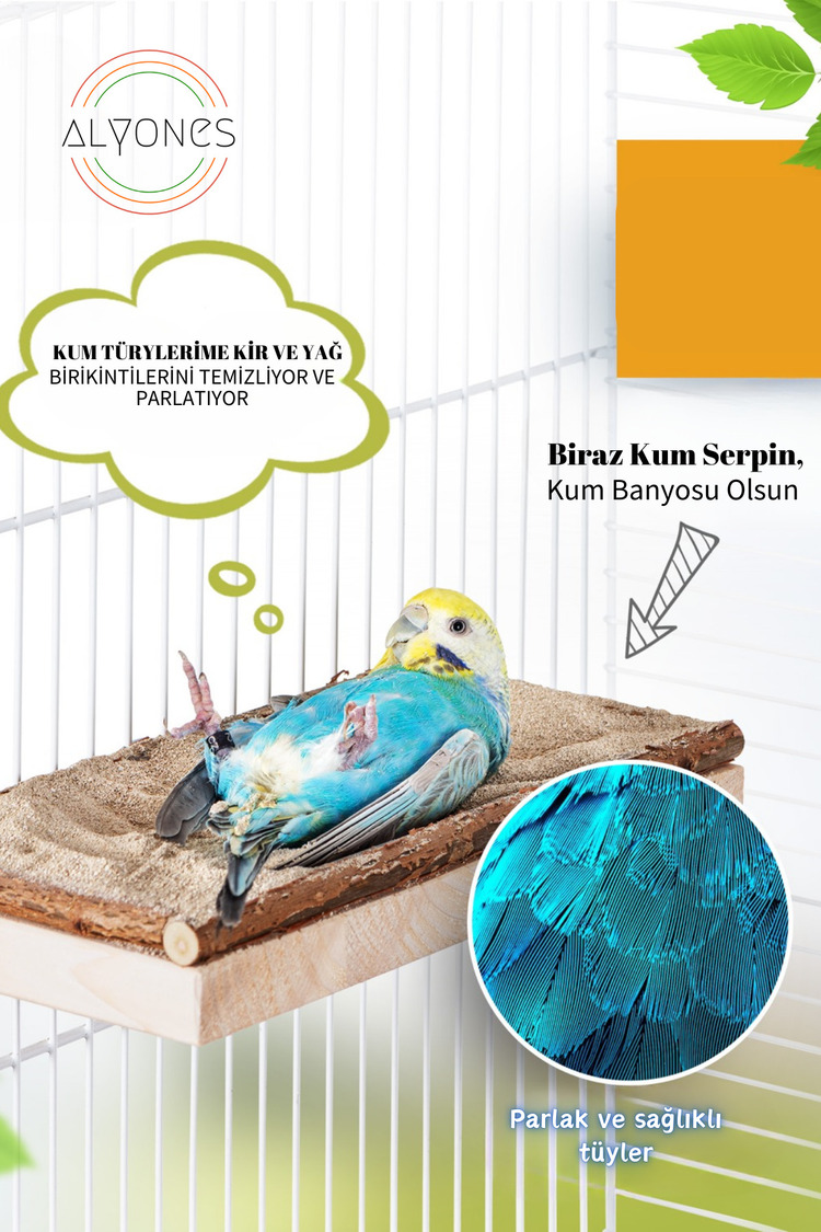 Muhabbet Kuşları İçin Ahşap 