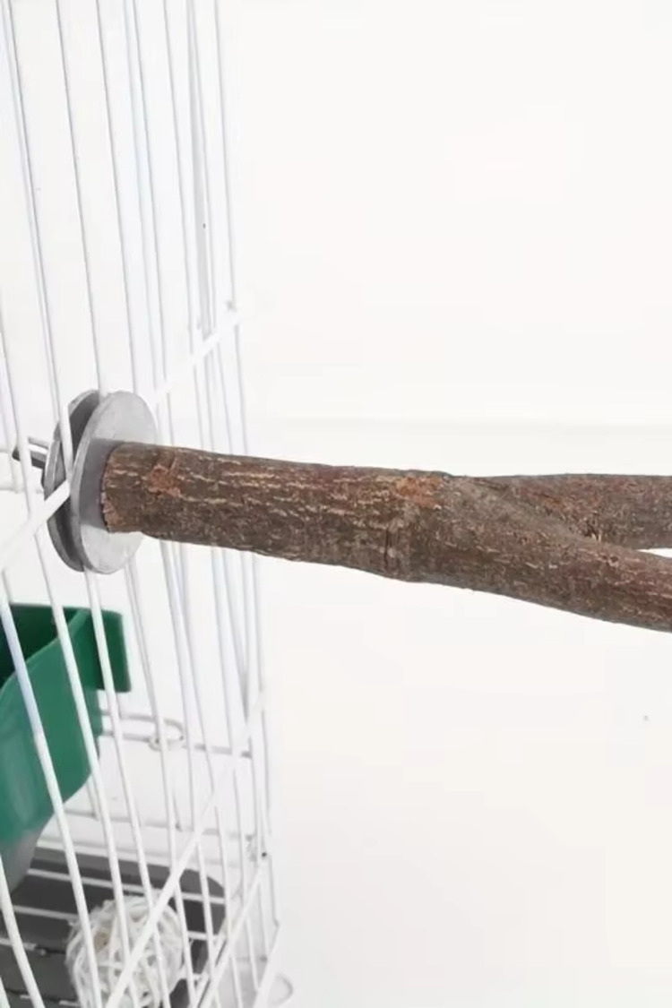 Kuş Standı Oyuncak Çatal - Ahşap ve Plastik Kombinasyonu