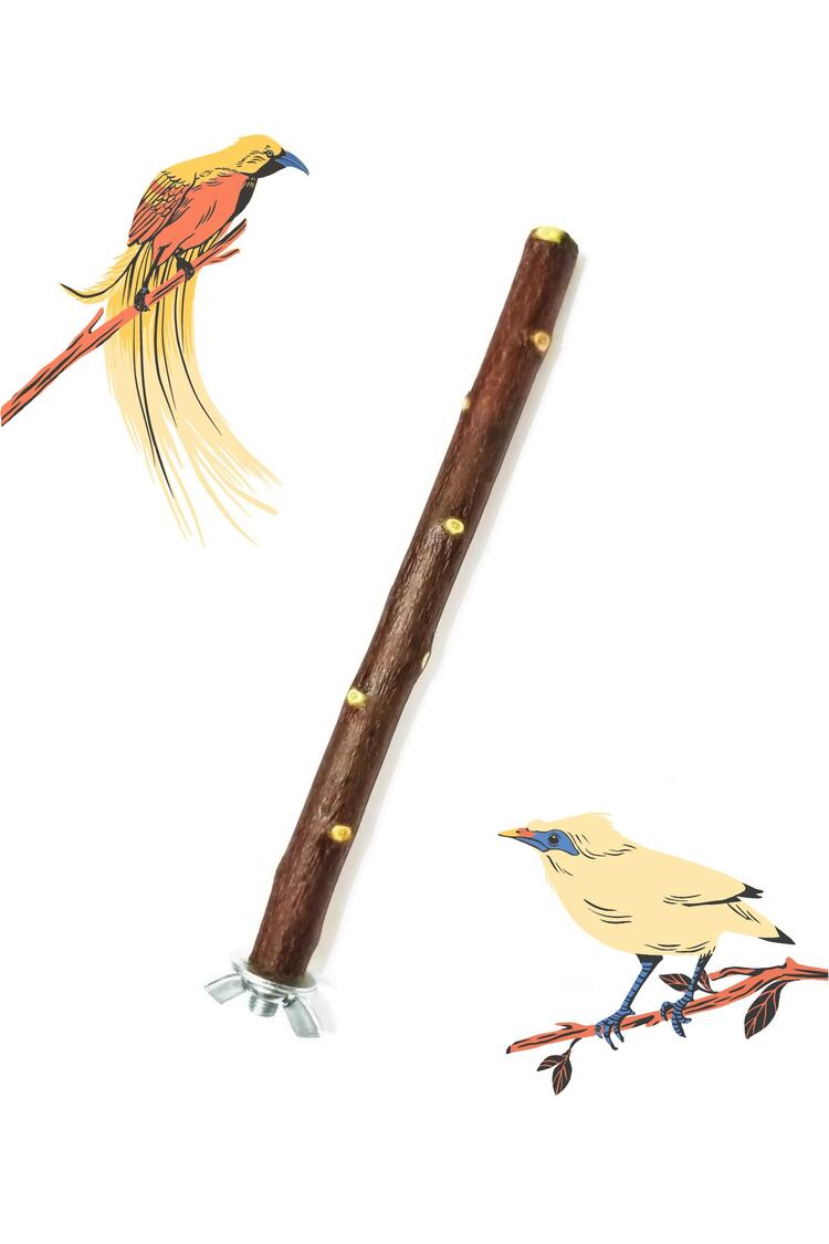 Doğal Dal Kuş Tüneği 22 Cm