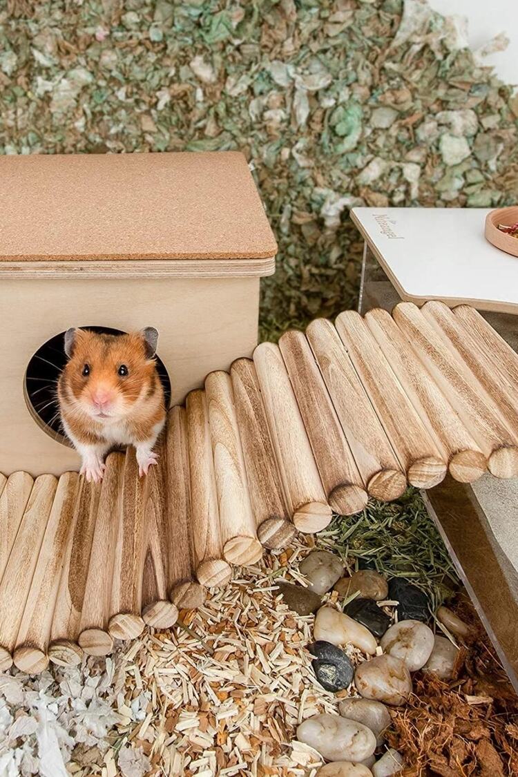 (30cm X 12cm) Hamster Gerbil Fare Sıçan Gine Domuzu Veya Diğer Küçük Hayvanlar Için Köprü Merdiveni