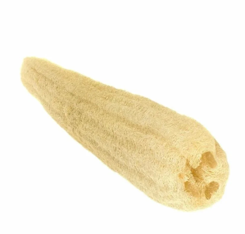 DOĞAL KABAK LİF 60 cm -80 cm