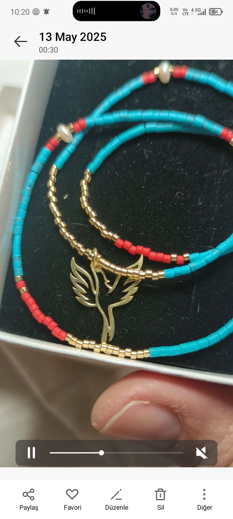 Anka kuşu gümüş kolye