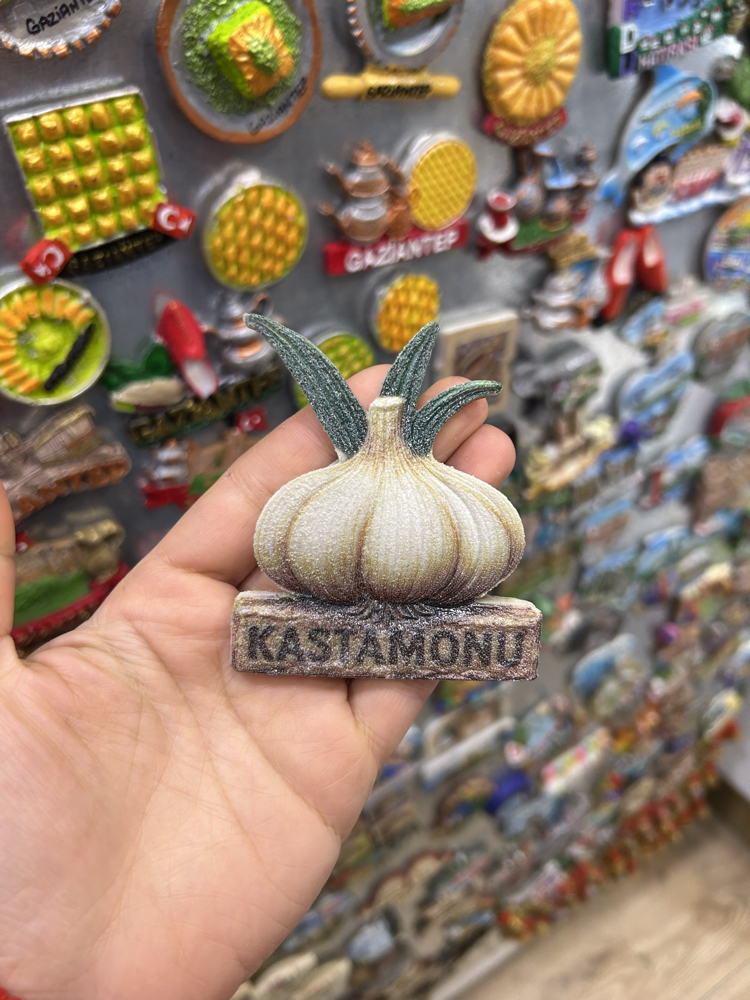 Kastamonu Buzdolabı Süsü