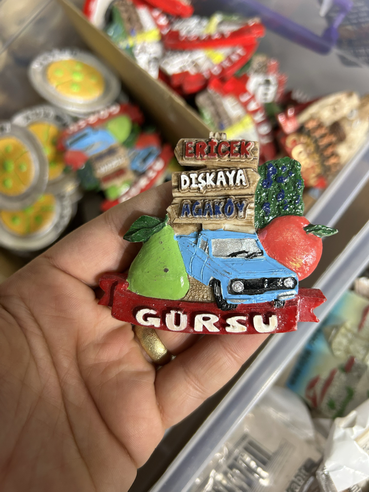 Bursa Gürsu Buzdolabı Süsü