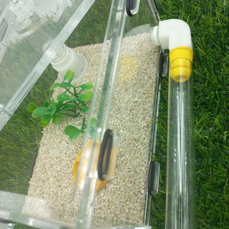 Başlangıç Seti 