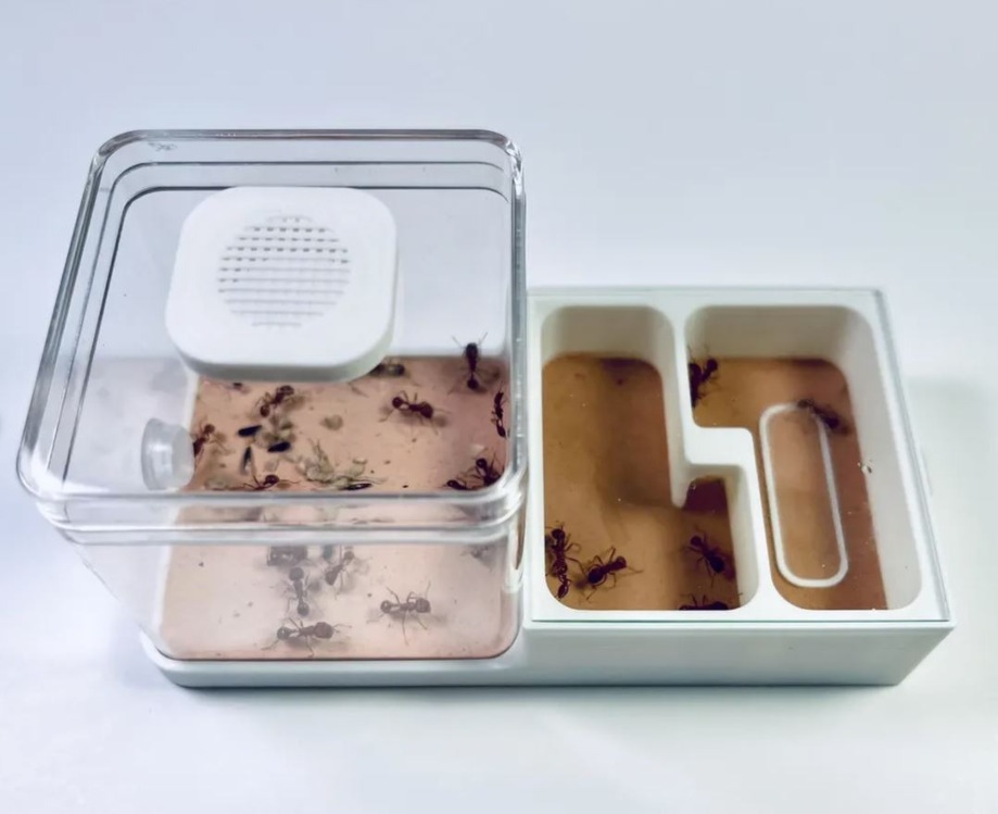 10x5 cm Birleşik Set 