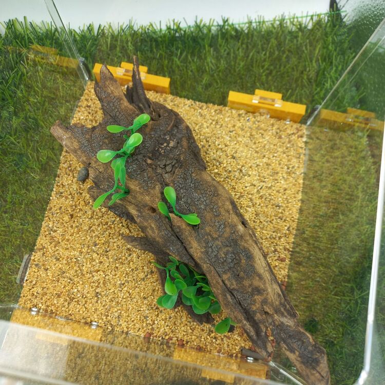 20x20x20 cm Outworld 
