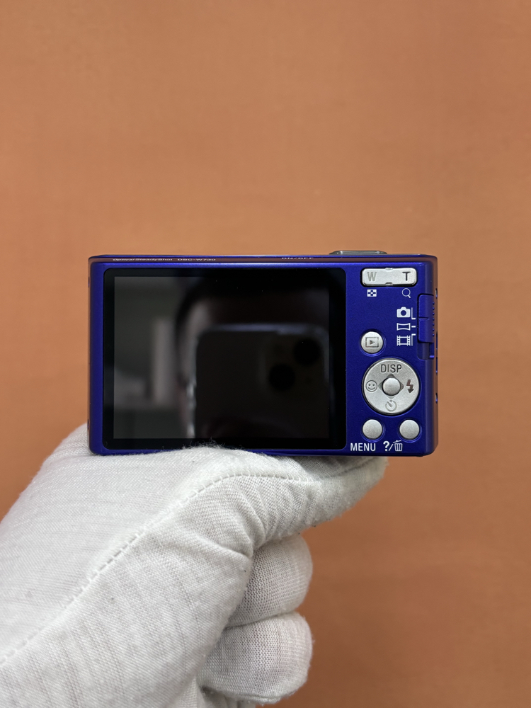Sony Cyber-shot DSC-W730