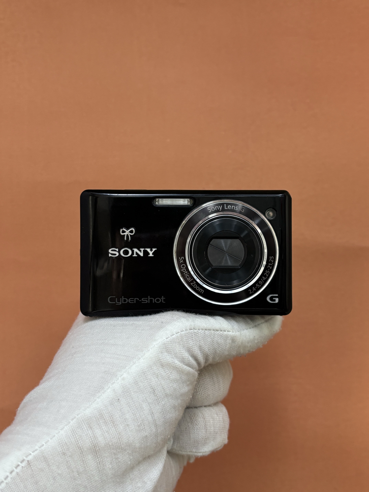 Sony Cyber-shot DSC-W390