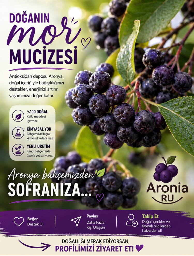 TAZE ARONYA 2 KG