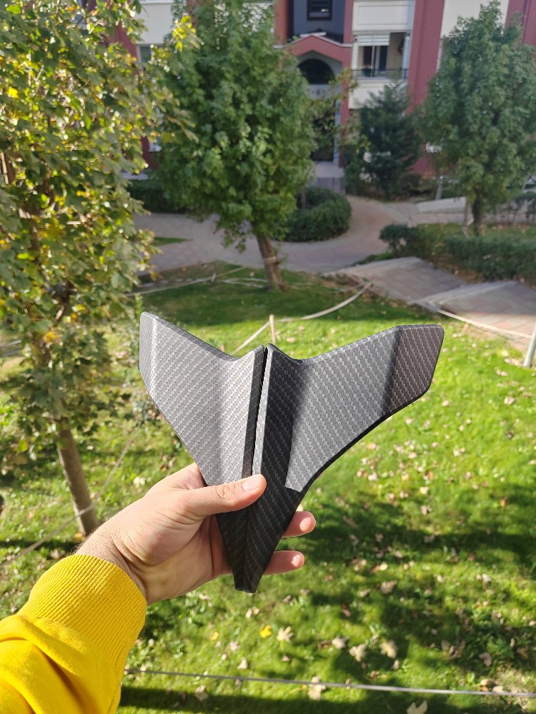 250SR Winglet Orj 