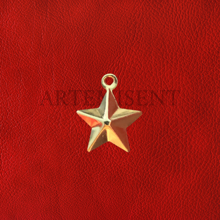 Altın Yıldız Charm