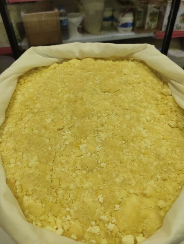 5 kg eritmeye hazır gorcolo peyniri