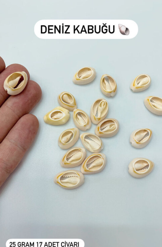 50 gram  34 adet civarı  deniz kabuğu 