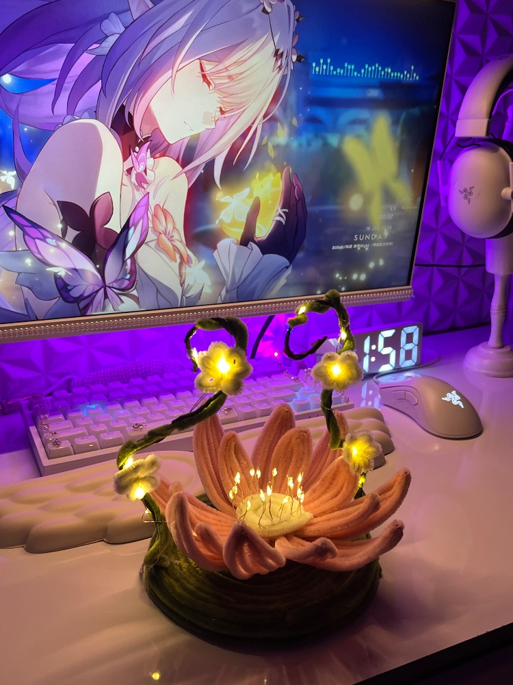 Lotus gece lambası ✨