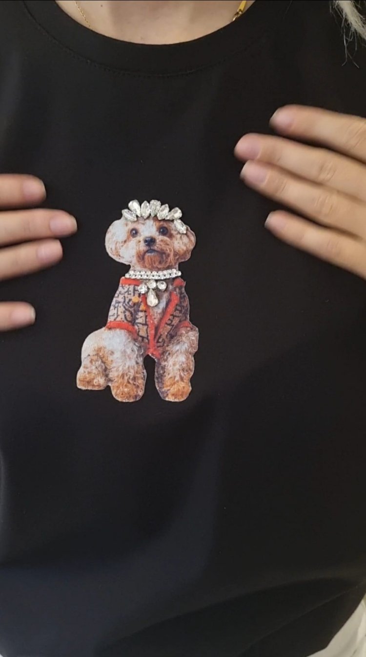 taşlı ikonik tişört 