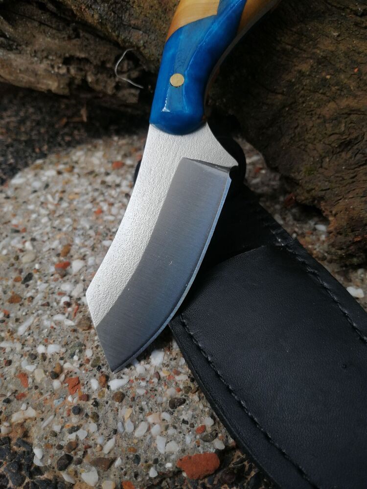 BS126