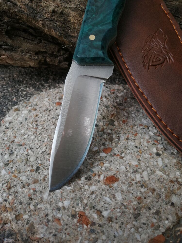 BS119