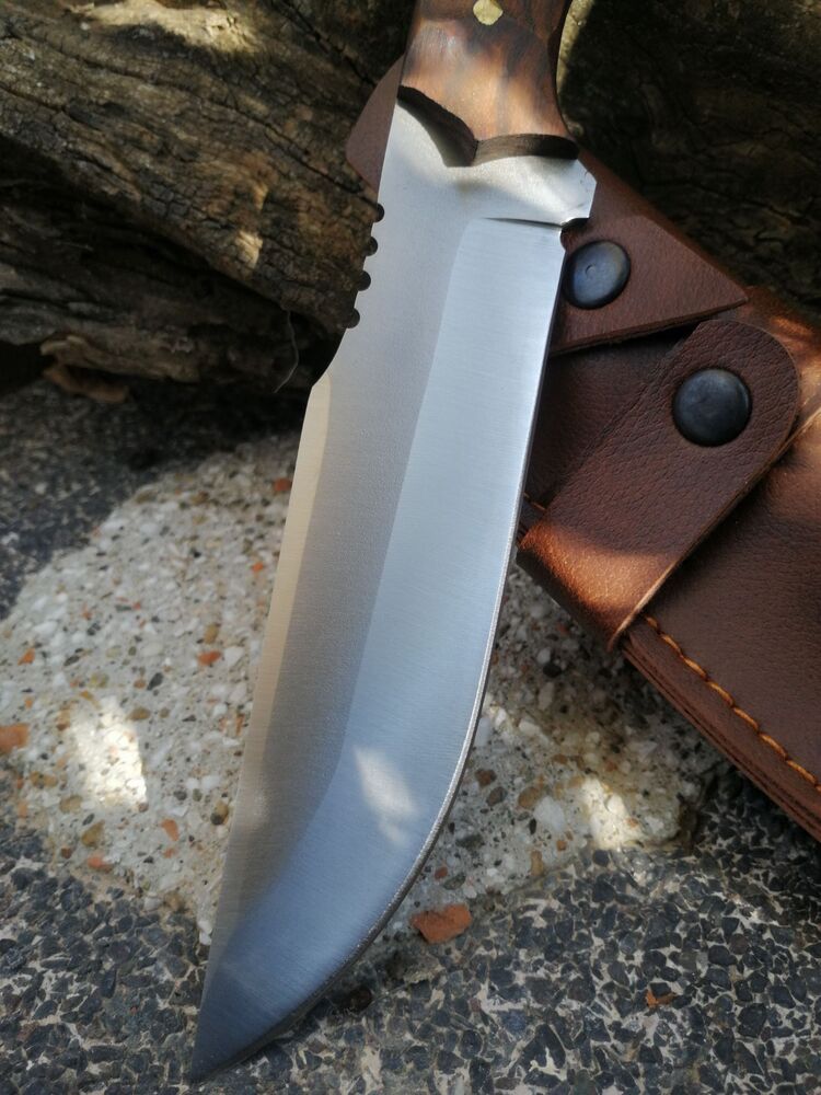BS143