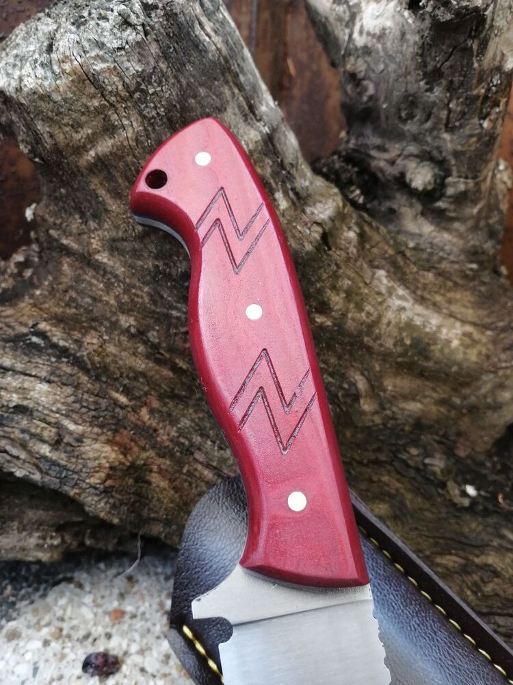 BS134