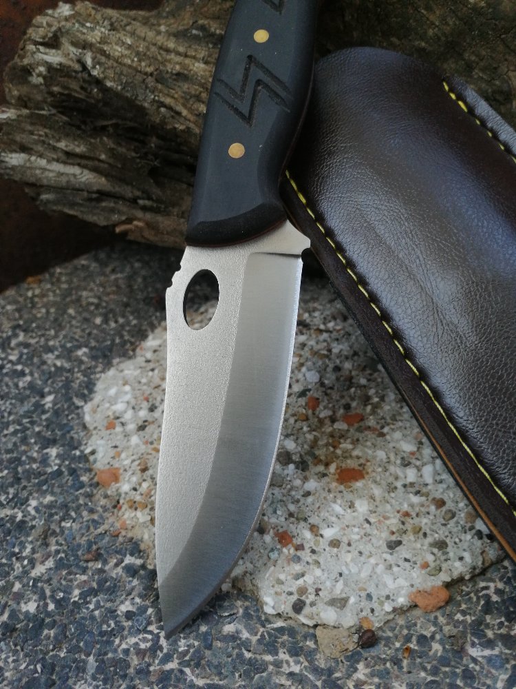BS154