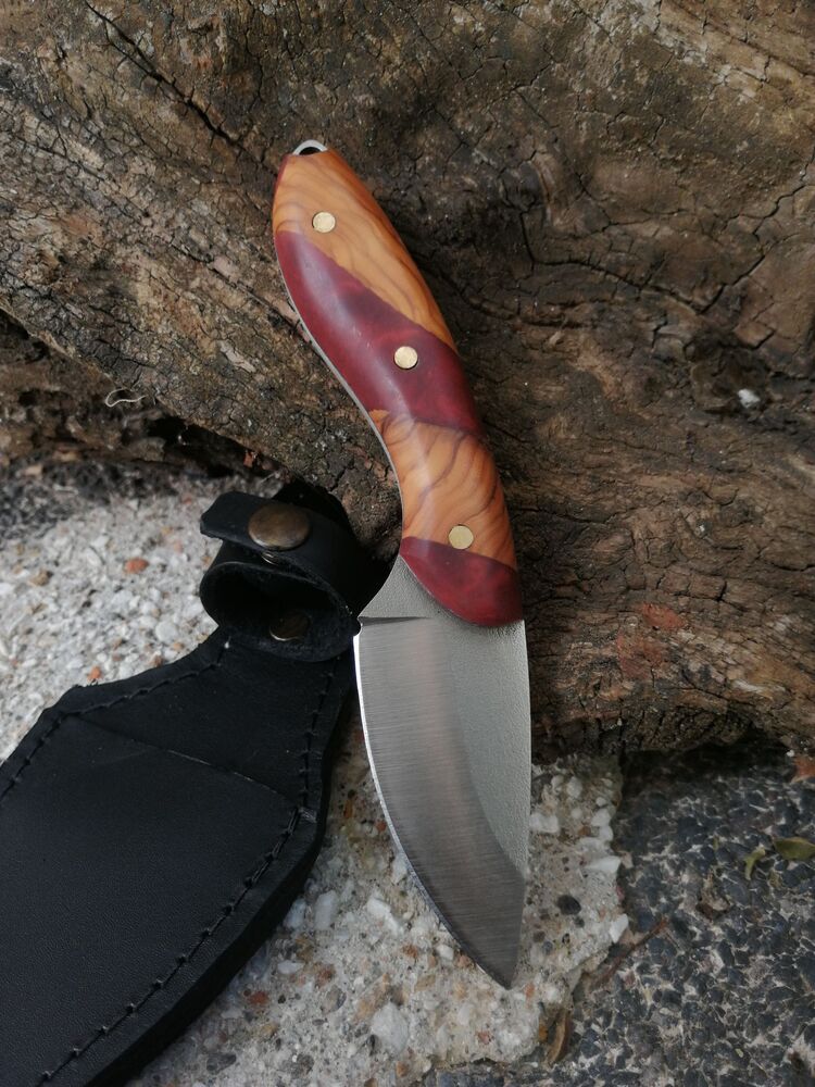 BS123