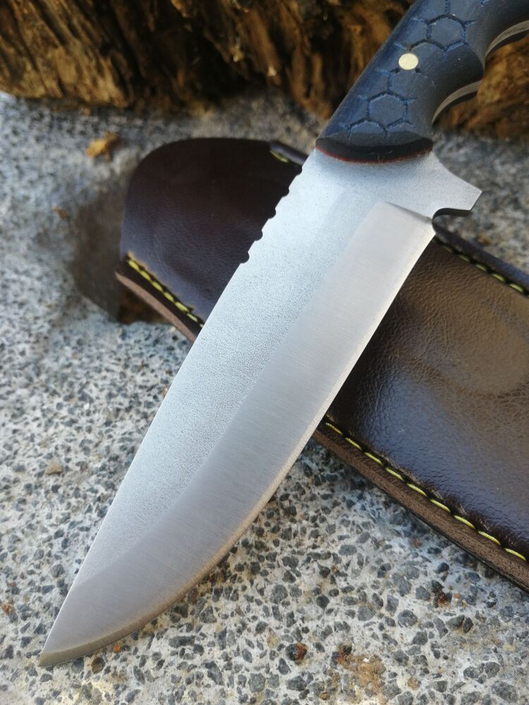 BS113