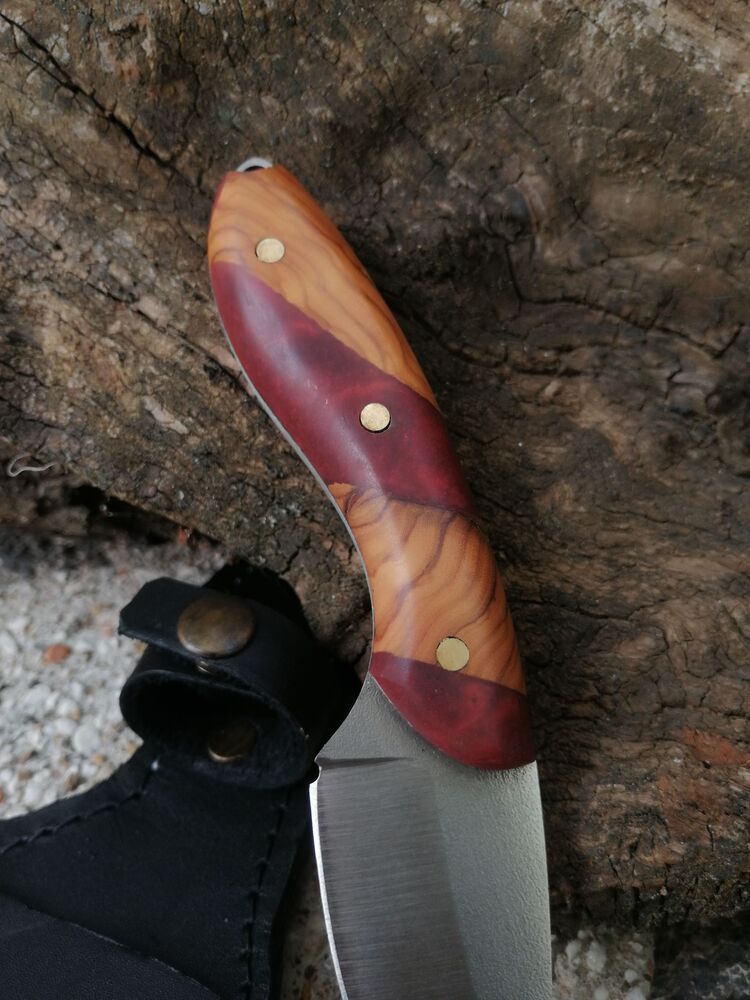 BS123