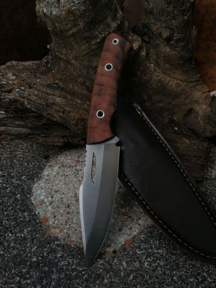 BS141