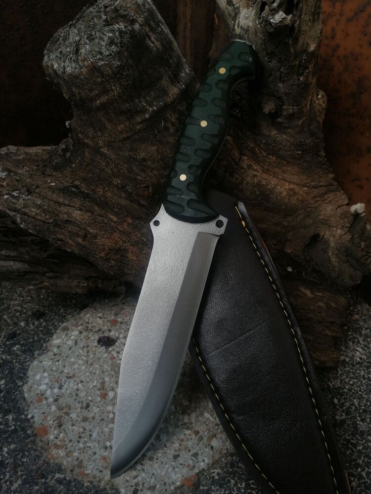 BS137