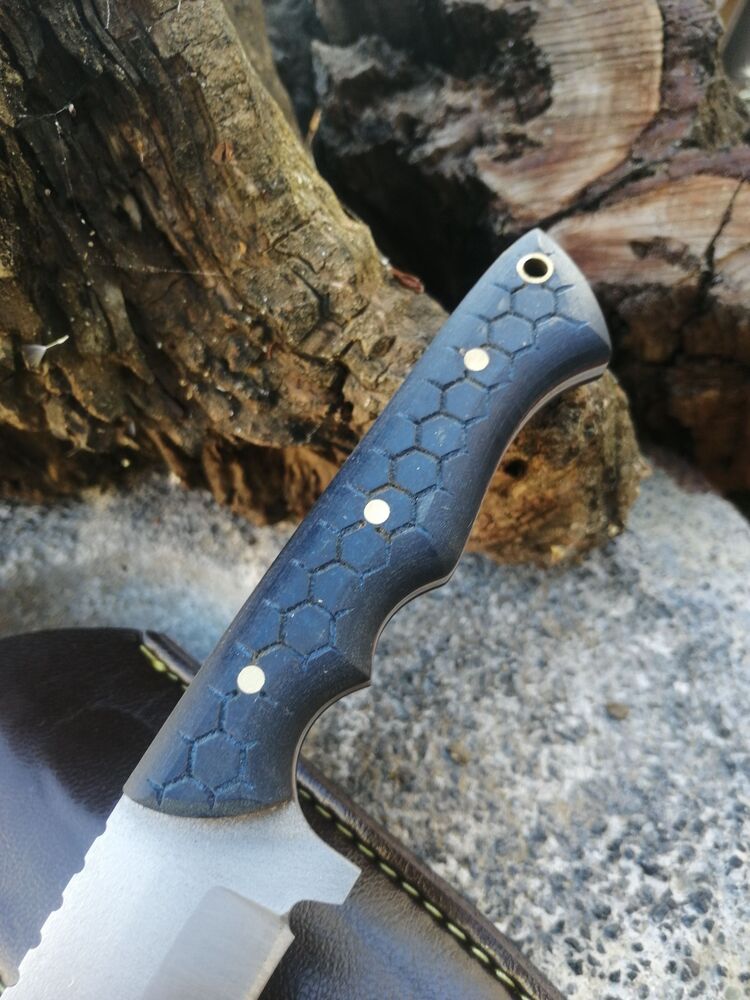 BS113