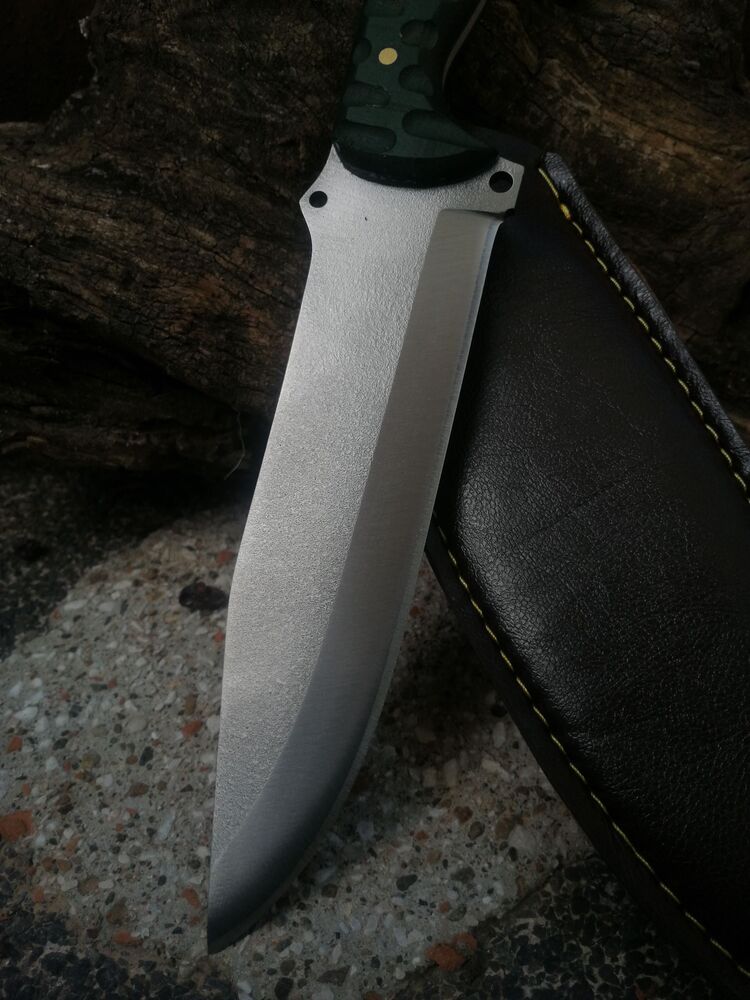 BS137