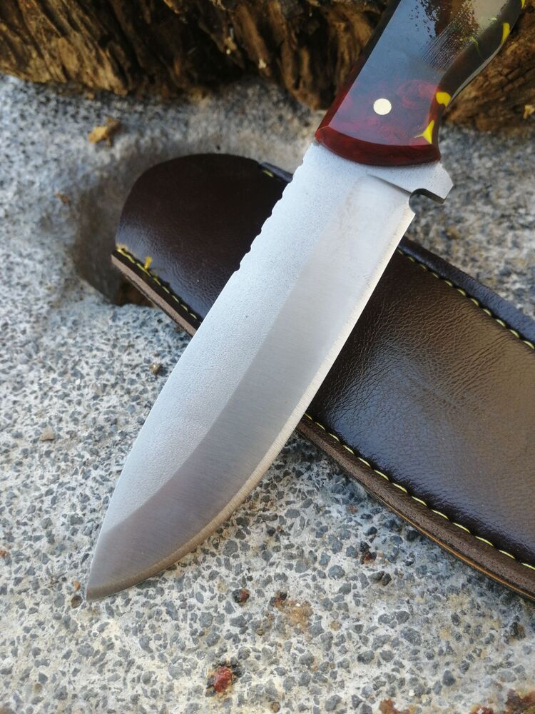 BS116