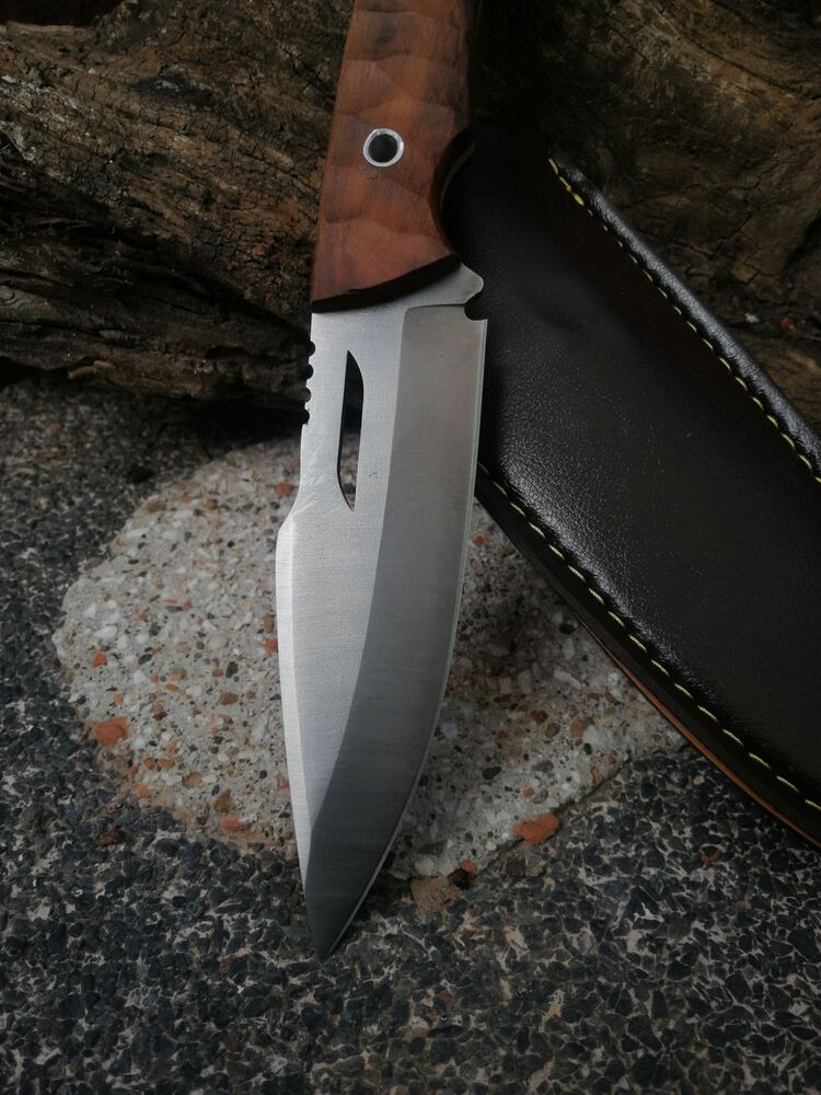 BS141