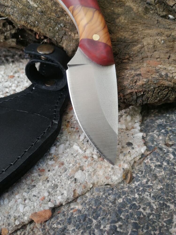 BS123