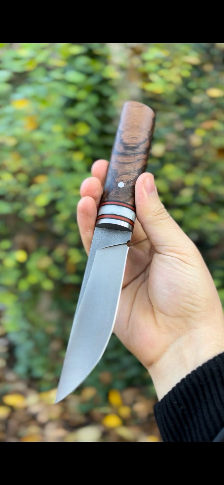 N690 pukko