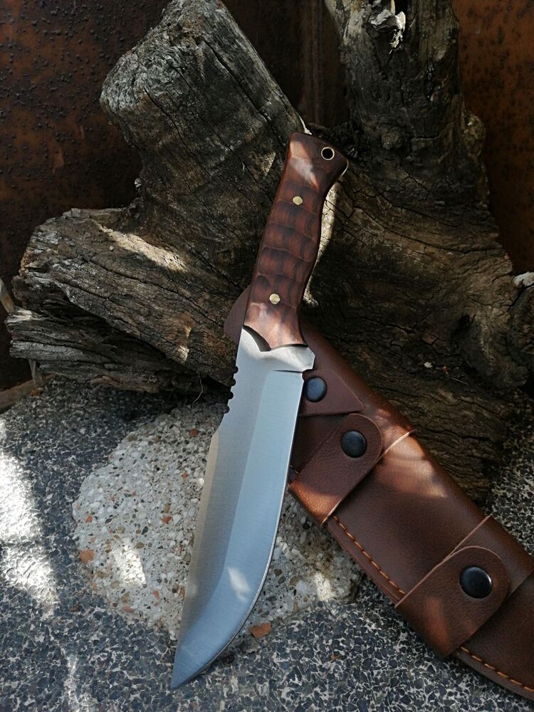 BS143