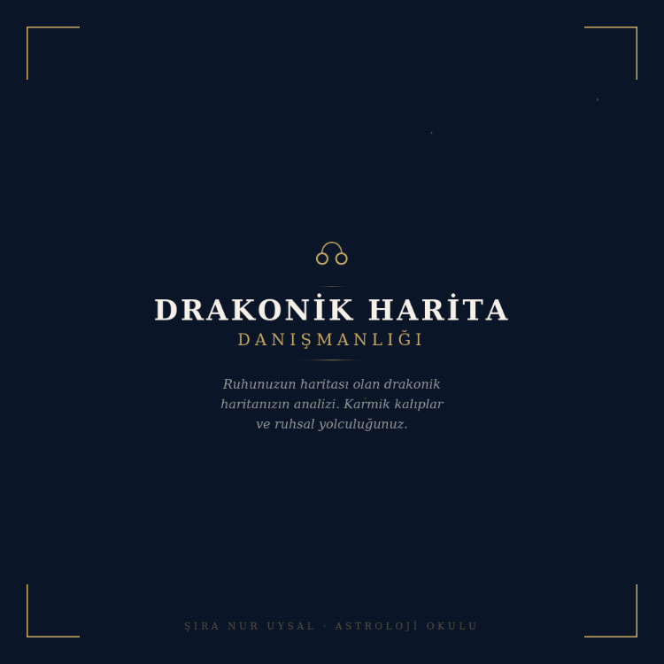 DRAKONIK HARITA DANIŞMANLIĞI