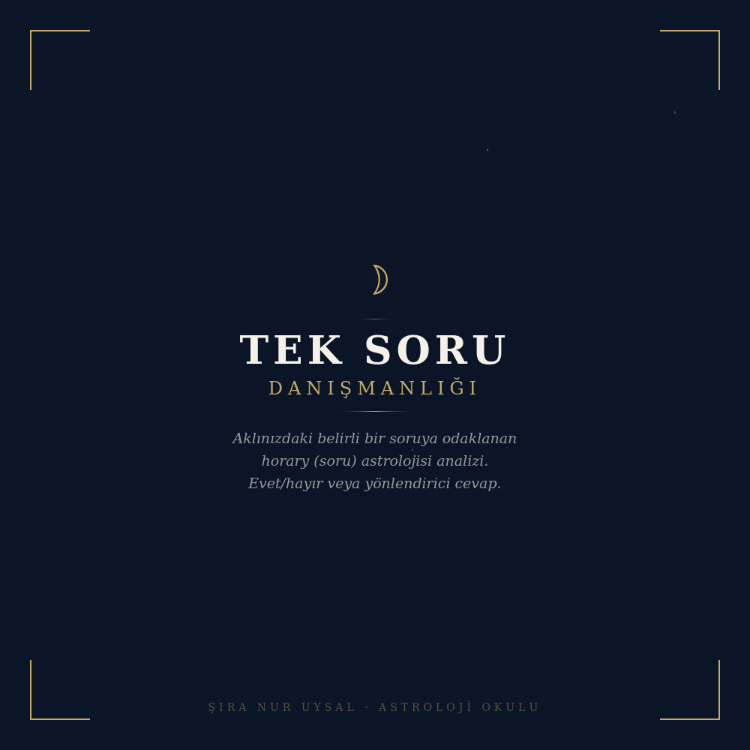 TEK SORU DANIŞMANLIĞI