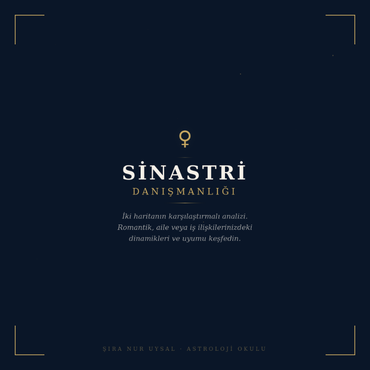 SİNASTRİ DANIŞMANLIĞI