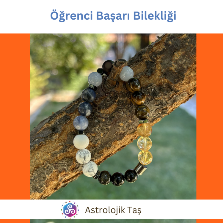 Öğrenci Başarı Bilekliği