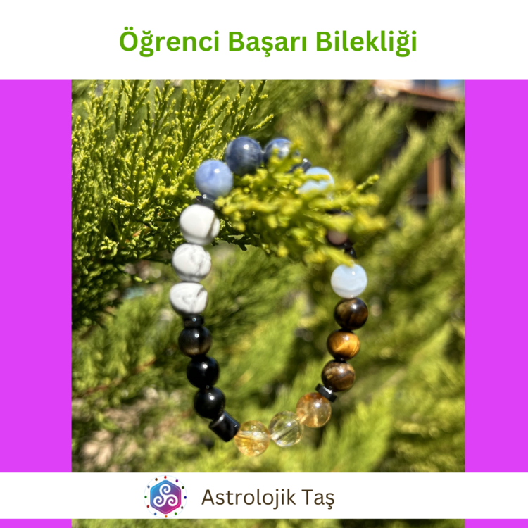 Öğrenci Başarı Bilekliği