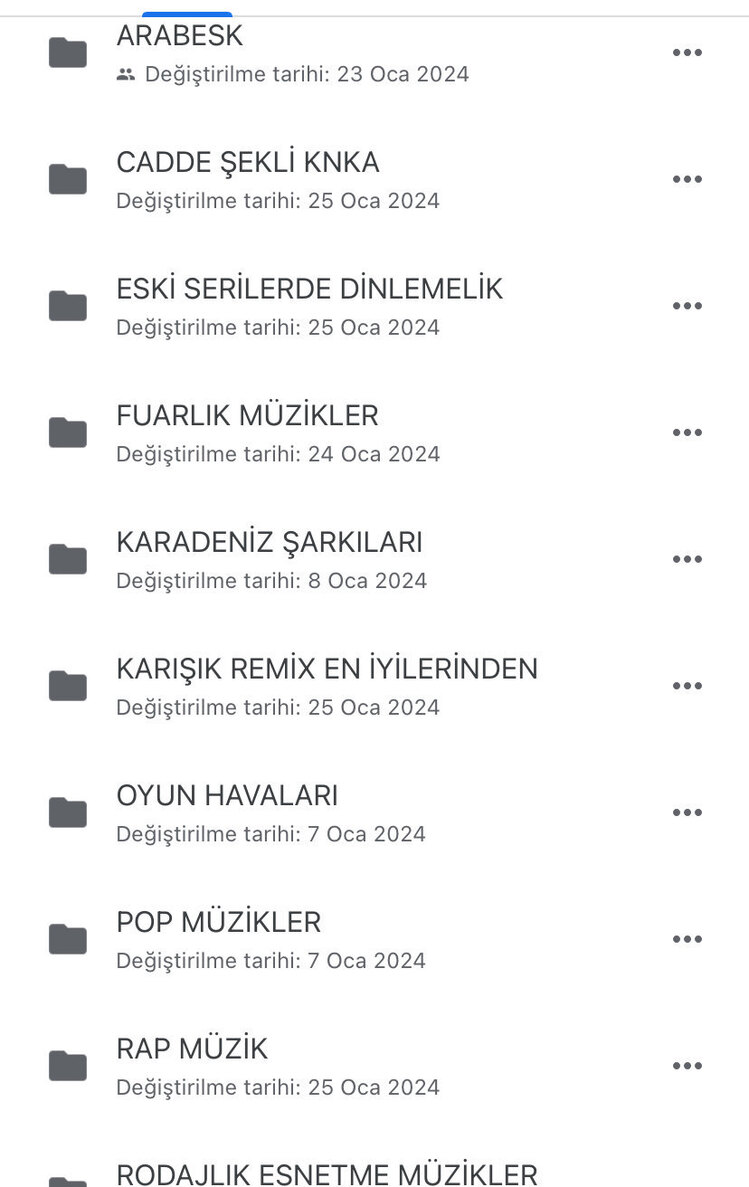 1600 ADET MÜZİK DOSYASI